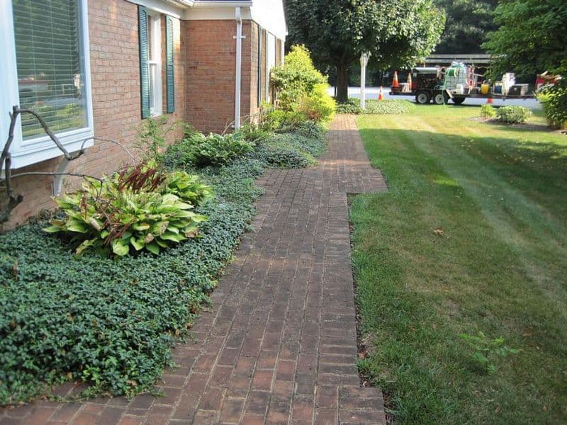 brick walkway cleaning hagerstown