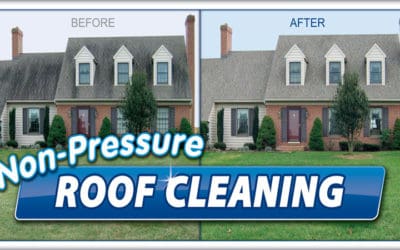 Hire a Pressure Washing Company Because…