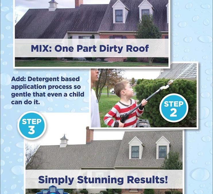 Complete Power Wash steps to cleaning a dirty roof