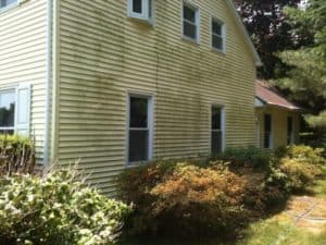 Mildew on vinyl siding before pressure washing by Complete Power Wash