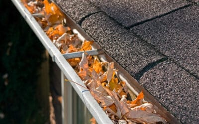 Clean Leaves from Gutters Before Clogs Start