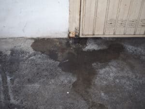 Moisture inside the home from clogged gutters leads to mold growth