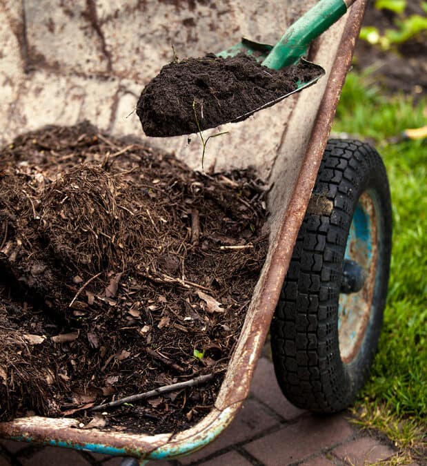 Mulch can cause black dots on your siding